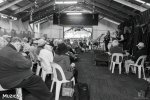 Pick O' The Clubs - Auckland Folk Festival 2024
