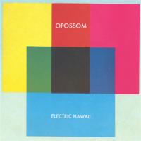 Opossom 'Electric Hawaii' to be released on 21 April 2012