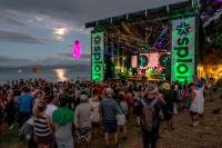 Splore shares the love and becomes an annual event