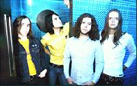 Life In The Fast Lane For The Datsuns