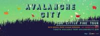 Avalanche City's New Zealand Tour