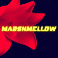 Marshmellow unveils 80's dance video single 'The Moment I Wake Up'