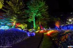 Wellington Botanic Gardens - Lighting by MJF Lighting
