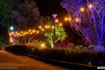 Wellington Botanic Gardens - Lighting by MJF Lighting