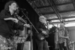 Albi & The Wolves - Auckland Folk Festival 2024