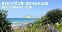 Reo Maori Songhubs Announced - Applications Open