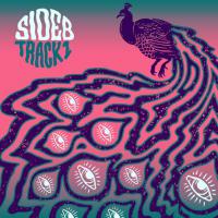 Wellington alt-blues-rockers Sea Mouse deliver stonking new single 'Side B Track 1'