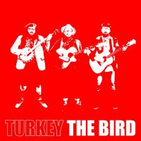 Turkey The Bird Album Launch