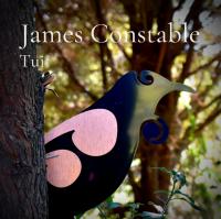 17-Year-Old Singer/Songwriter James Constable: New Album 'Tui' Takes Flight
