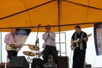 The Flaming Mudcats - To Chicago And The Blues: June 2013