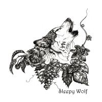 Sleepywolf album out November 8th