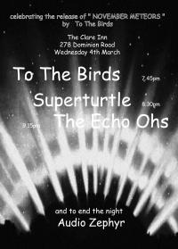 To The Birds Album Release March 4th with Superturtle and The Echo Ohs