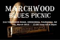 Marchwood Blues Picnic 2015