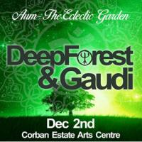 Performing in NZ for the first time - Deep Forest & Gaudi