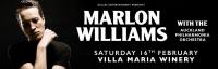 Marlon Williams Returning Home To Headline Villa Maria Winery With The Auckland Philharmonia Orchestra Next February