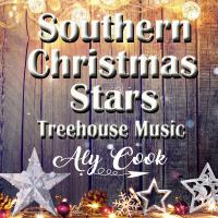 Southern Christmas Stars - Aly Cook & Treehouse Music