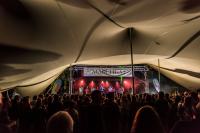 The Chills, Bella Kalolo and Alae booked for Marchfest 2020
