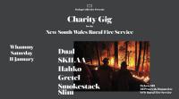 Park Up Collective present: Charity Show for NSW Rural Fire Service