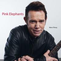 Pink Elephants - a new single by Merv Pinny